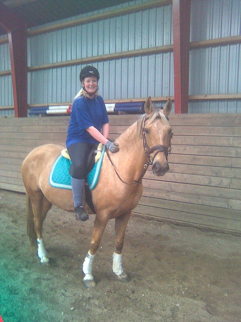 Palomino Surprise (har lånt) - Første gang hjemme :) billede 11