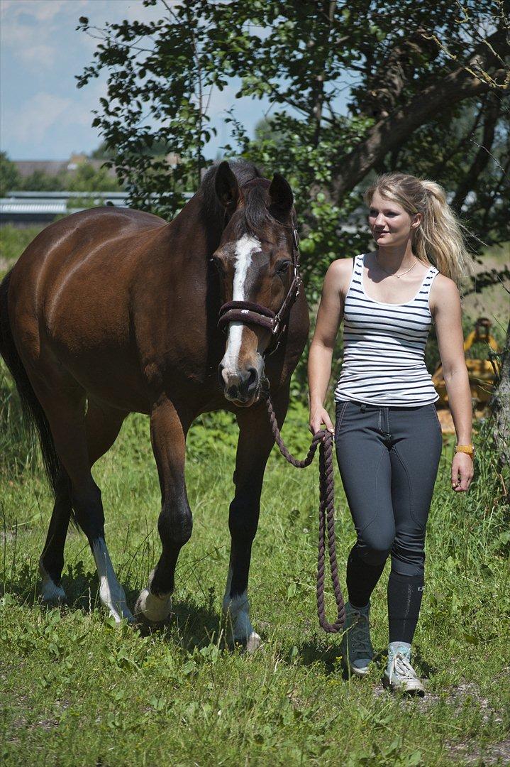 Holstener Mr. Rocky  billede 5