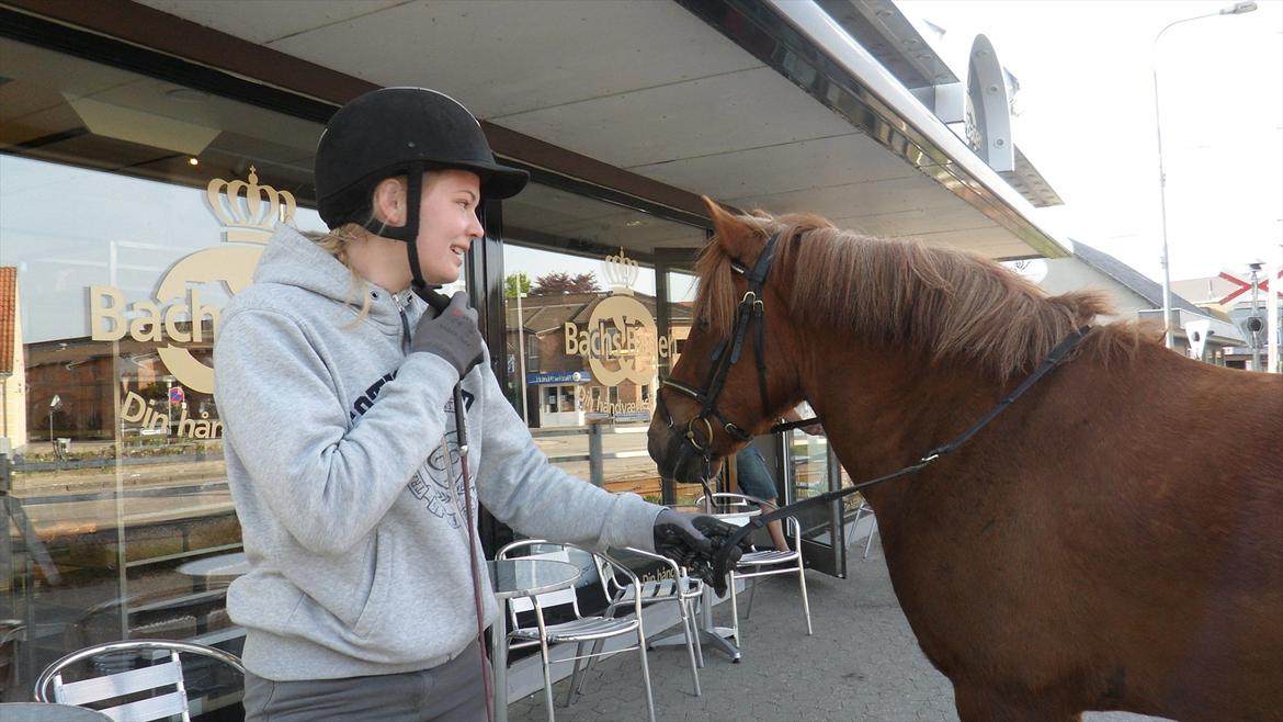 Anden særlig race Aron  - Morgen tur til bagere! Morgenmad er jo det vigtigste billede 6