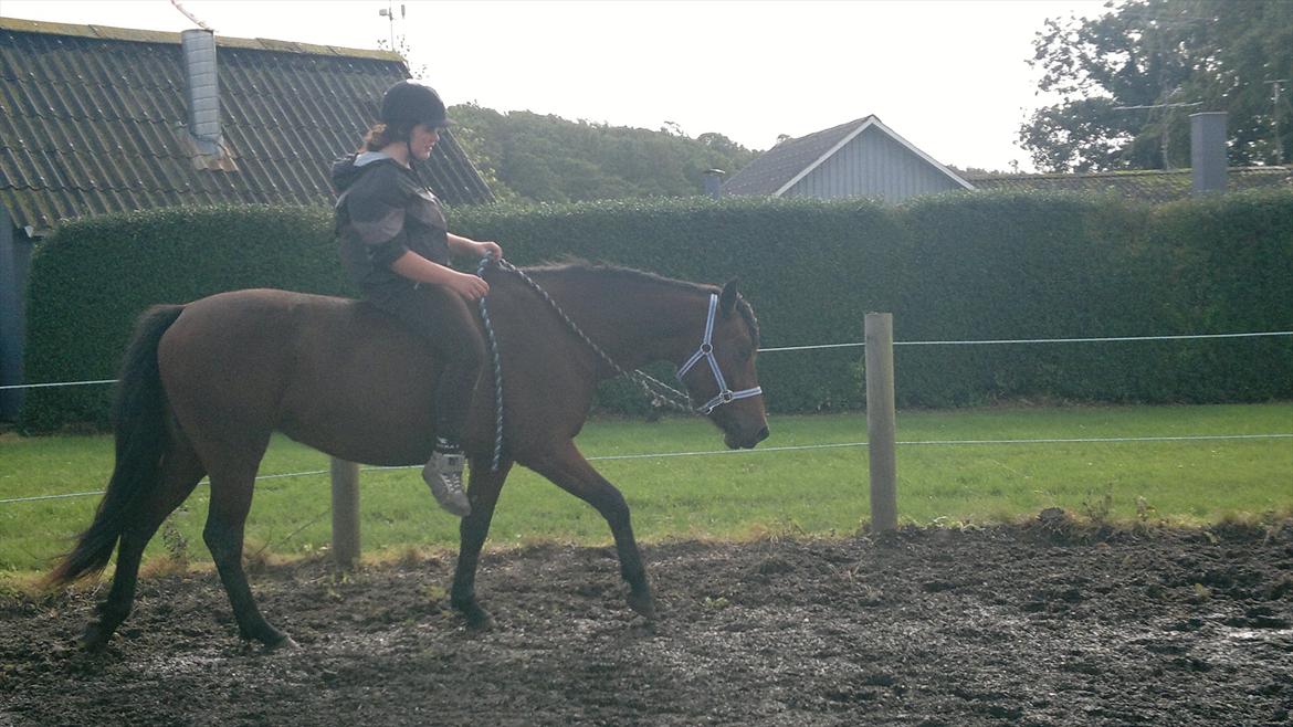 Anden særlig race Celina - Første gang uden bid :P
 billede 12