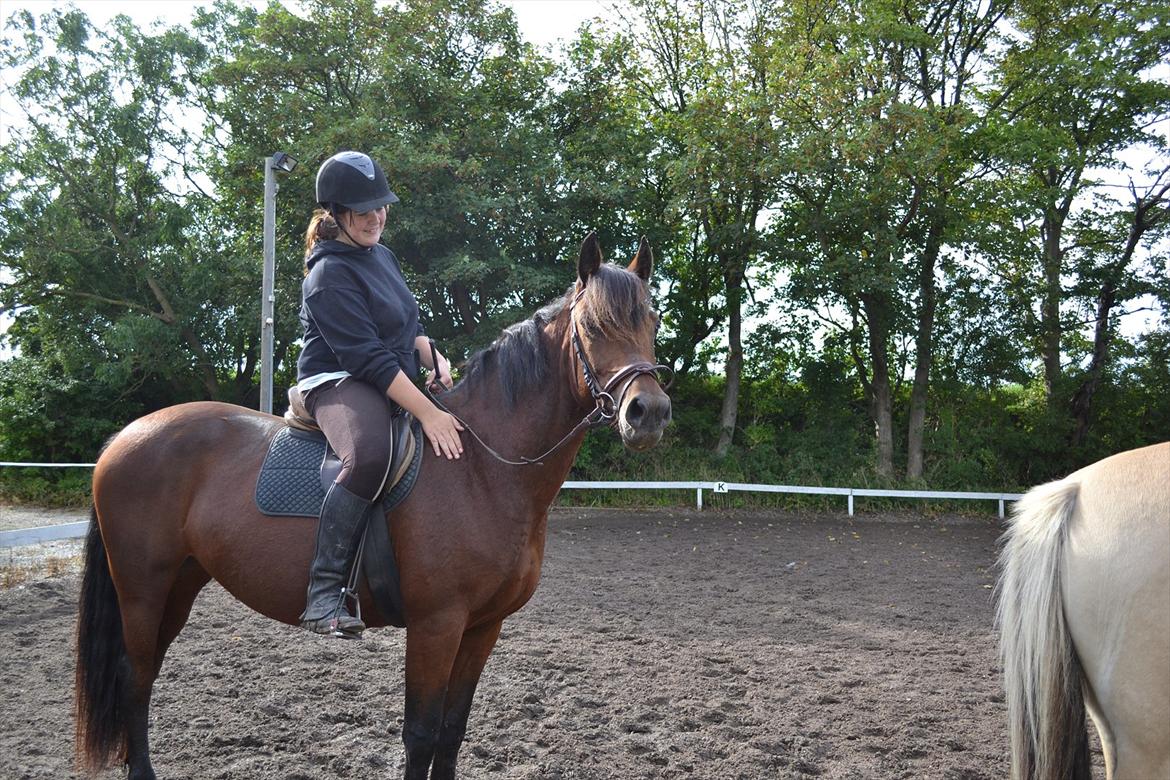 Anden særlig race Celina billede 17