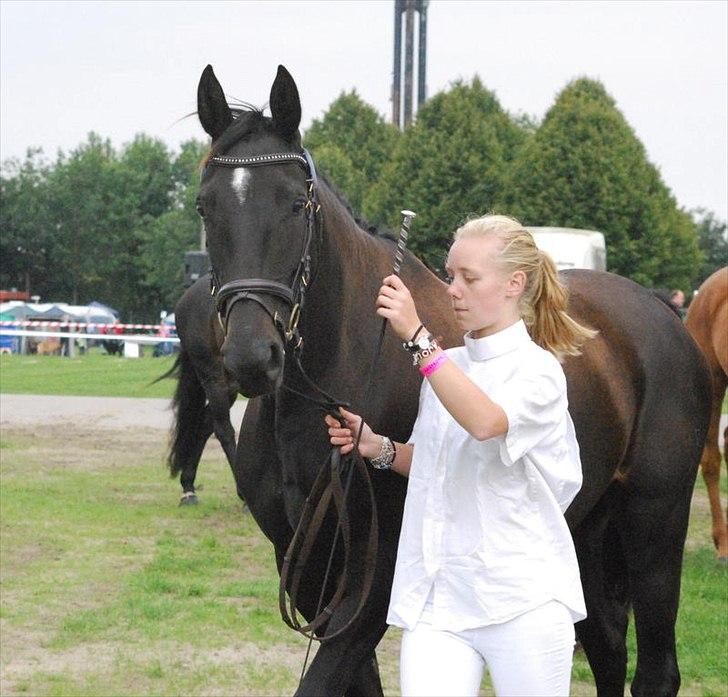 Dansk Varmblod Ajour <3 *Passer :D - Store Hestedag 2011! :D  billede 12