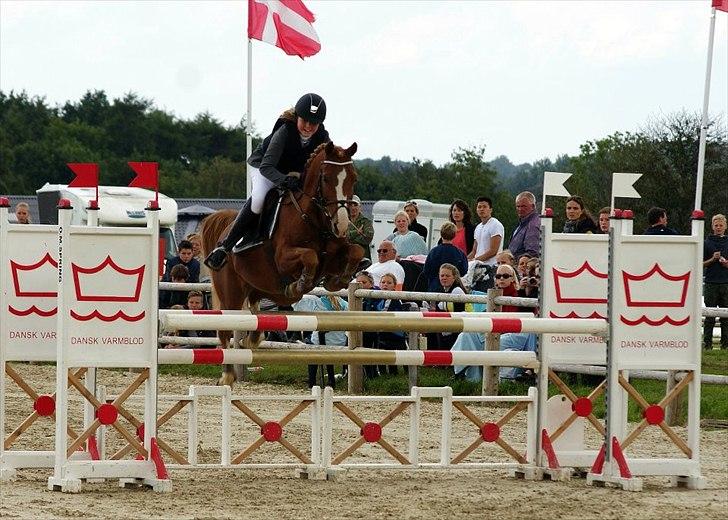 Hollandsk Sportspony Rocko<3A-PONY!!<3 - den pony er virkelig elsket.. billede 7