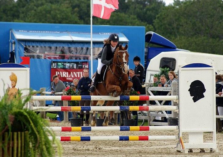 Hollandsk Sportspony Rocko<3A-PONY!!<3 - Verdens bedste pony:* Elsker dens teknik :D billede 6