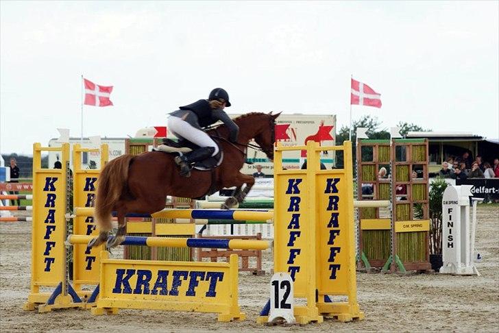 Hollandsk Sportspony Rocko<3A-PONY!!<3 - S* til Dm:* Elsker den pony ;i billede 15