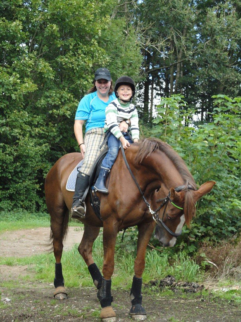 Anden særlig race Vestergård Nikita - efteråret 2011 billede 8