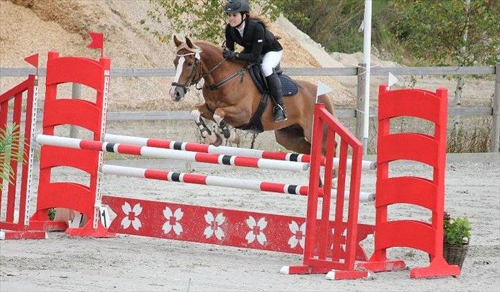 Anden særlig race SAKSKÆRS COMET II - Min bedste ven og jeg til vores første Baltic Cup på Capa 2011
- I admire you for the strength instilled in me billede 3