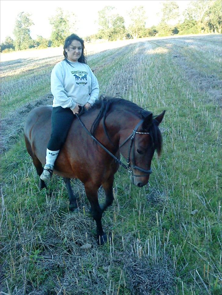 Anden særlig race Dianna billede 12