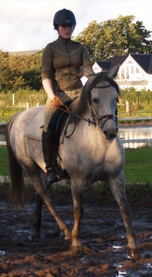 Anden særlig race Søbakkens la Muffa - Velkommen til Muffa's profil<3 billede 1