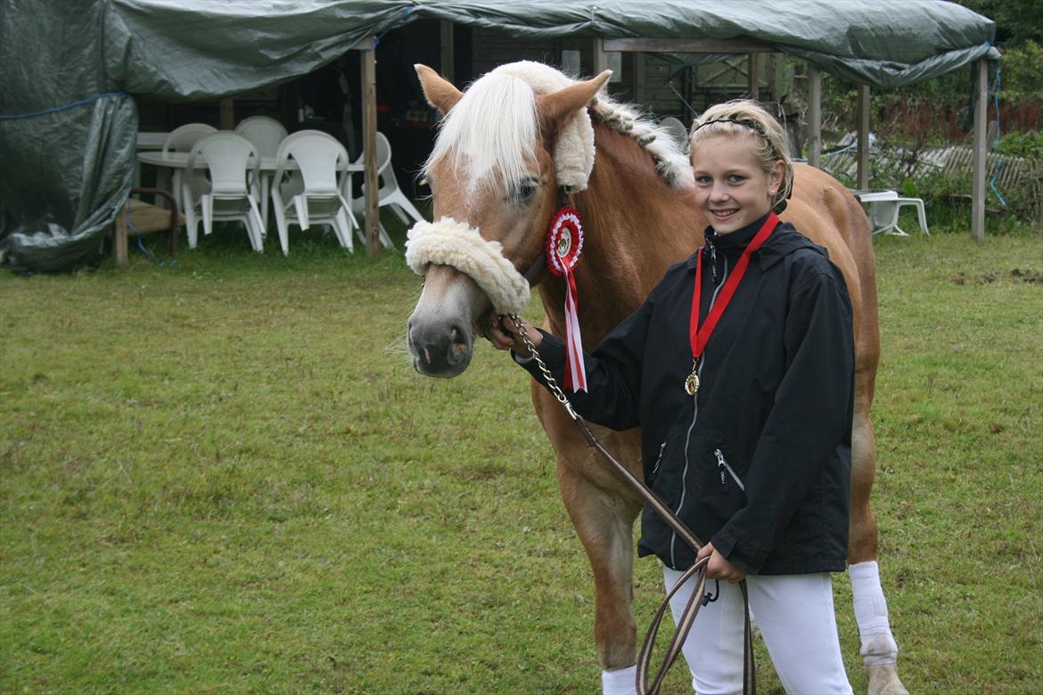 Tyroler Haflinger Kiwi - Kiwi og Louise vinderen af klassen LC1 d. 17-09-2011.

Foto:Leif. billede 18