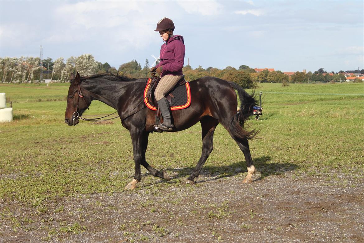 Traver April Dalimo - Maria Gade og April billede 14