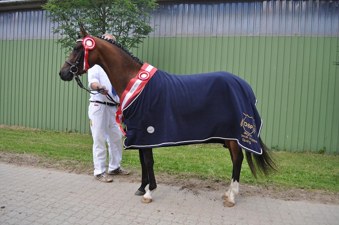 DSP Lykkehøjs Charming Star billede 11