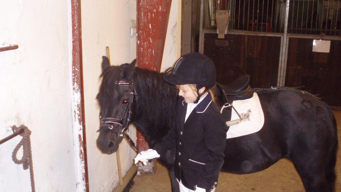 Welsh Pony (sec B) Papaya *R.I.P* - Dressurstævne på Hammerum Rideskole :) 
Foto: Min far billede 5