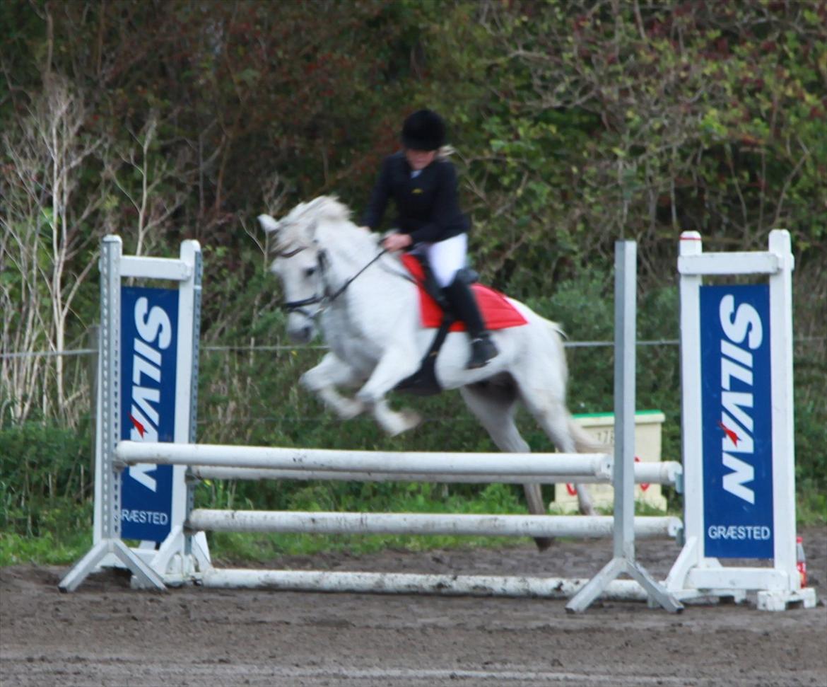 Anden særlig race milan - LC ø-cup finale 2plads på søborggård billede 16