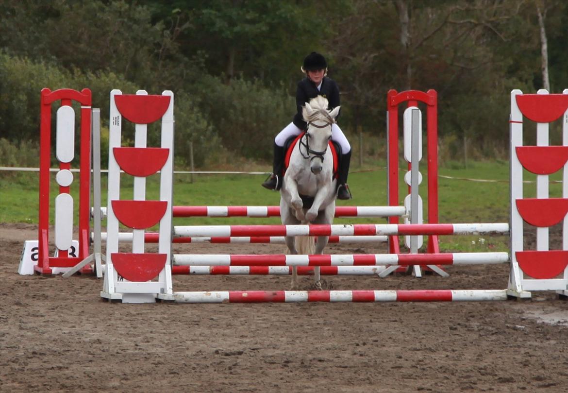 Anden særlig race milan - Omspingning til ø-cup finale 2plads....
Velkommen til Milans profil skriv gerne en komenta og smid en bedømmelse: foto katja billede 1