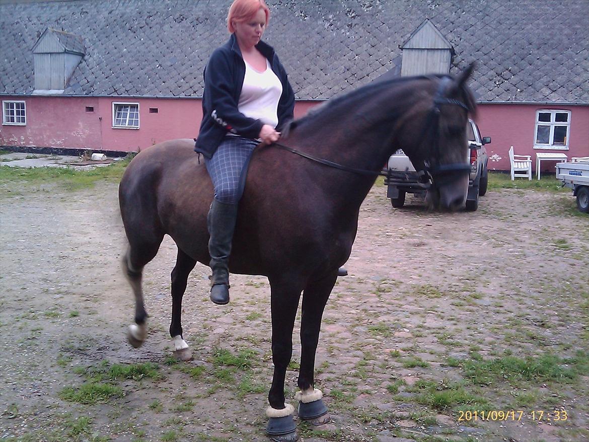 Anden særlig race  flik flak billede 15