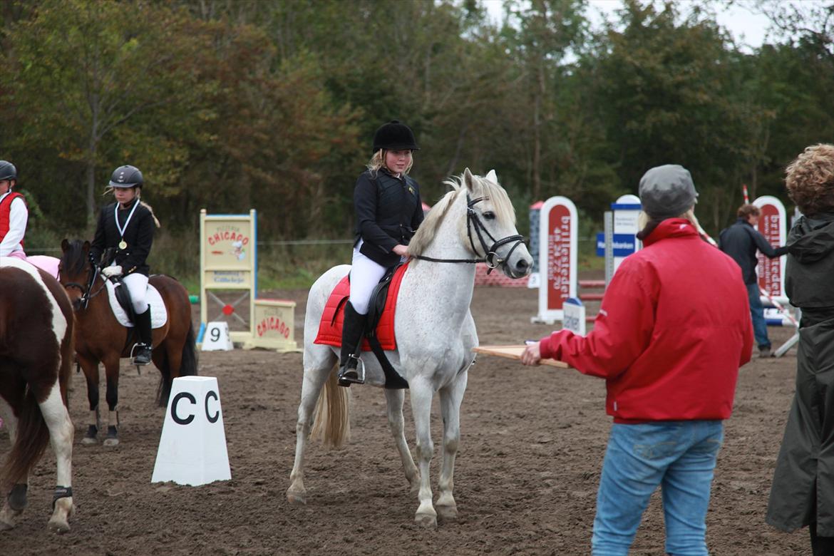 Anden særlig race milan - primæmieoverrækkelse ø-cup finale 2plads billede 18