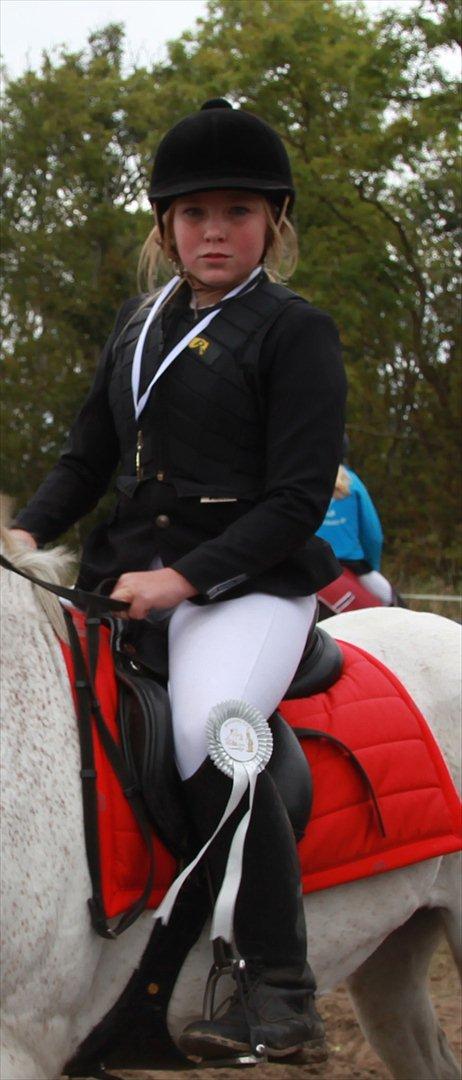 Anden særlig race milan billede 4