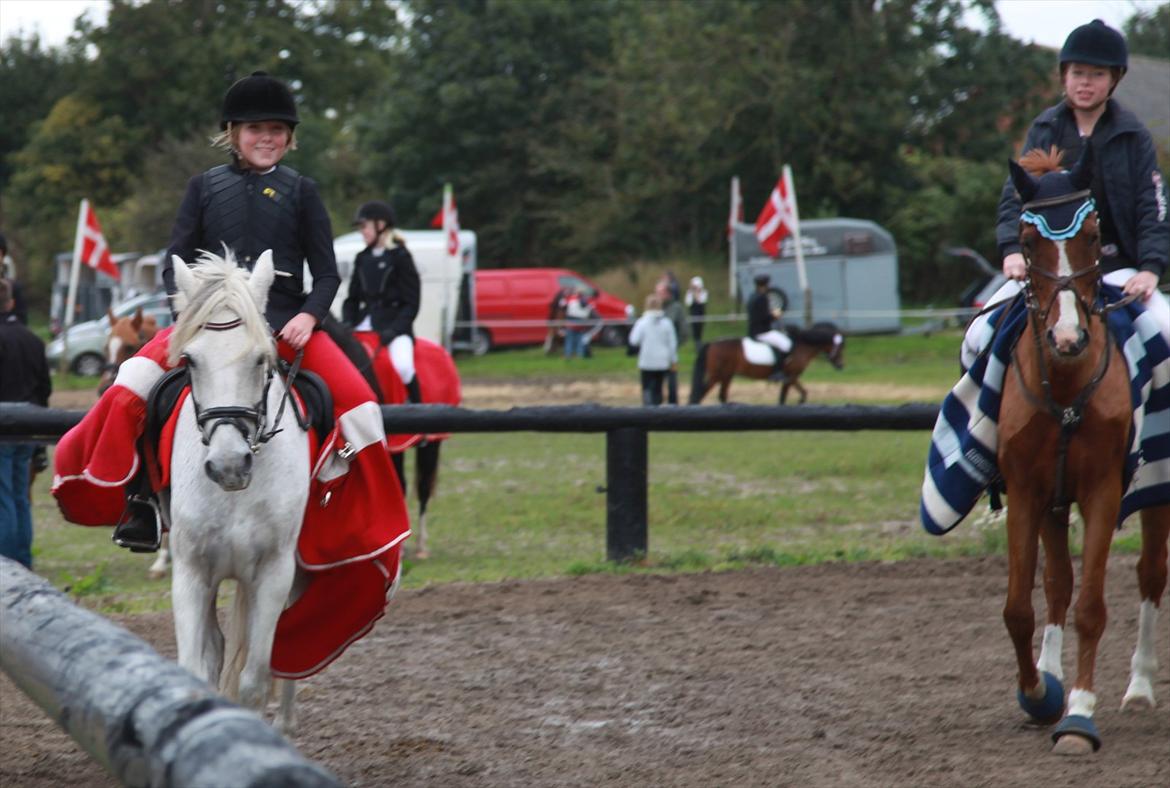 Anden særlig race milan billede 19