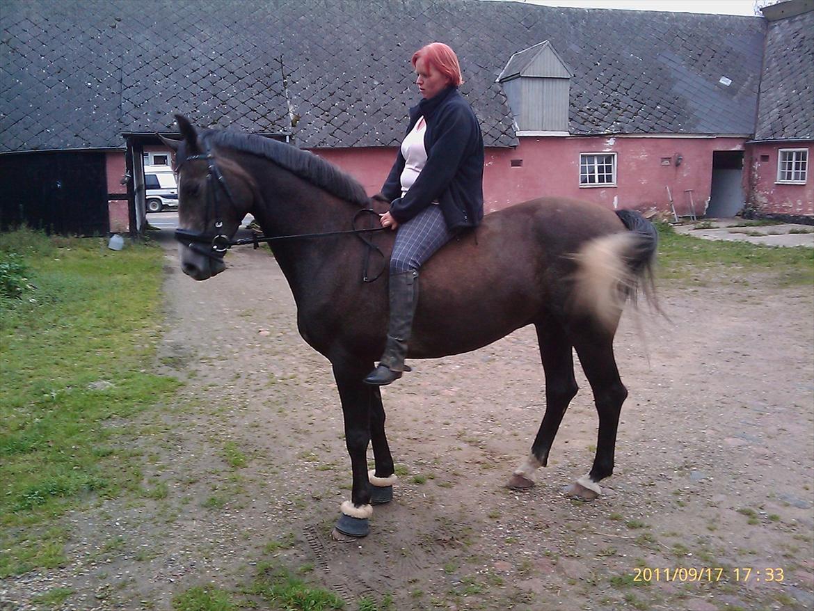 Anden særlig race  flik flak billede 17