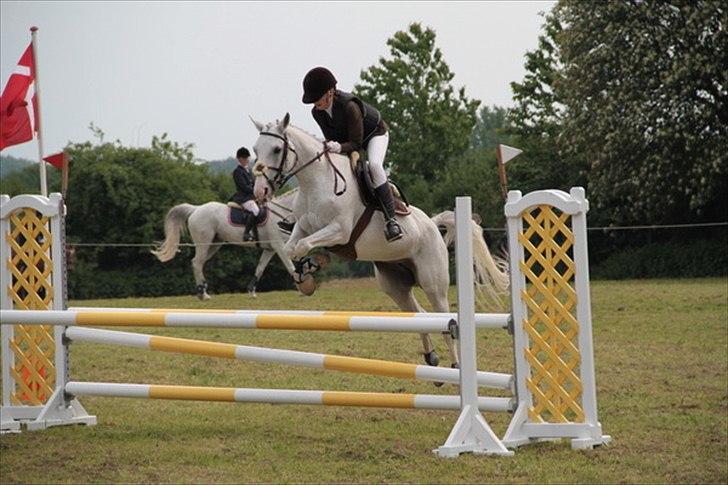 Tysk Sportspony Elina 17 - DM for hold 2011 , min første CNCP90 (LA højde),MIT FØRSTE DM og mit/vores første landsstævne billede 11