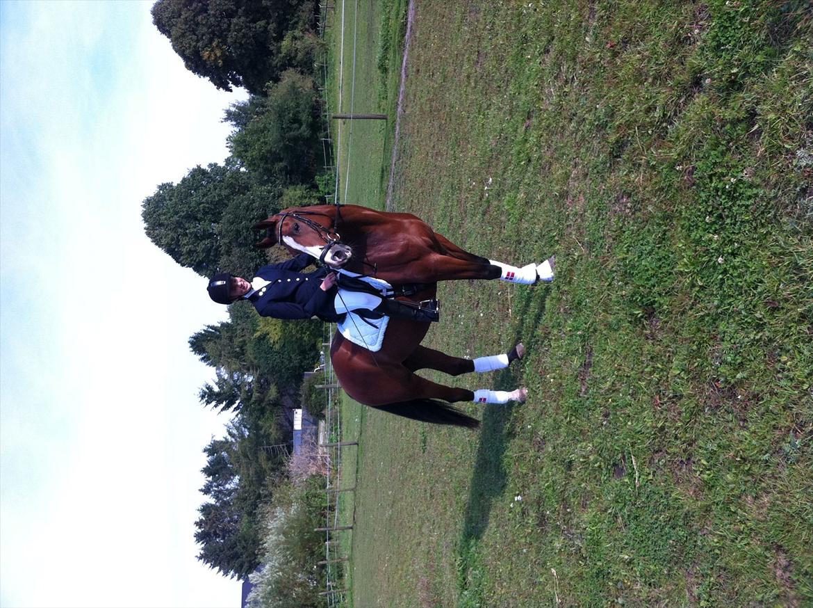 Dansk Varmblod Svanegårdens Florencia - Flora og mit første stævne, vi var i Lynge.
Det gik super 65% billede 9