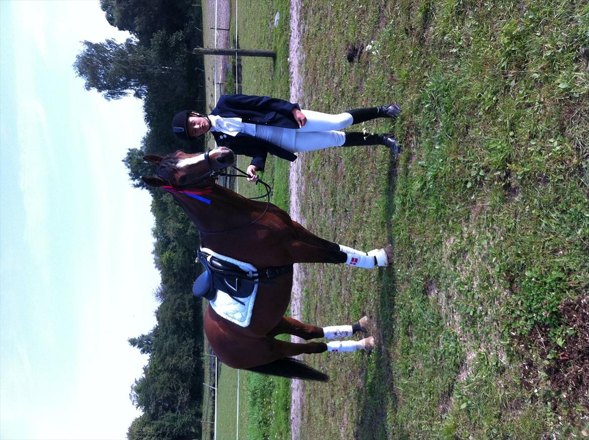 Dansk Varmblod Svanegårdens Florencia - Se vores flotte sløjfe ;-) billede 13