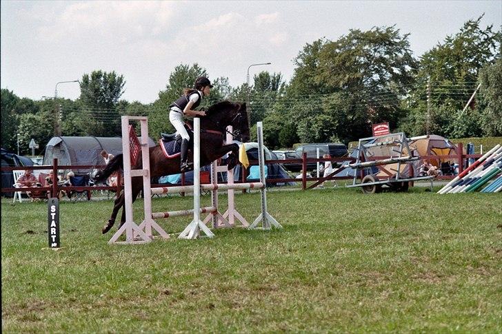 Tysk Sportspony Melody 52 - LB-Hammerum pony-uge 2011
du sej pony!♥ billede 13