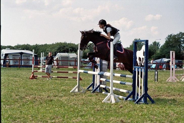 Tysk Sportspony Melody 52 - Lb-hun ligger da okay højt over? :b billede 15