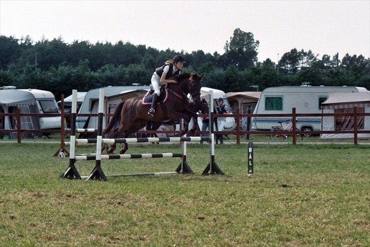 Tysk Sportspony Melody 52 - uff, du lækker;i billede 16