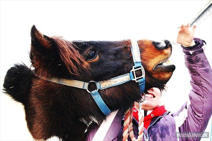 Anden særlig race Fanny har redet<3 - Simone og Fanny<3 billede 18