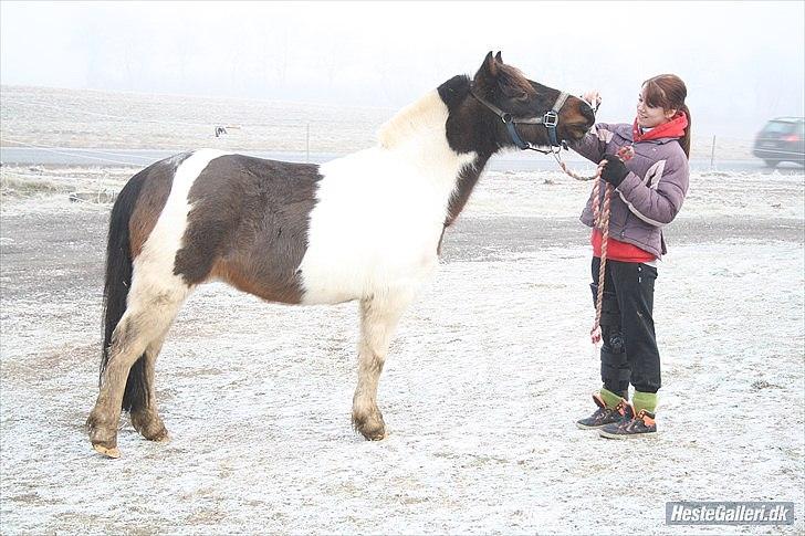 Anden særlig race Fanny har redet<3 - Simone og Fanny<3 billede 8