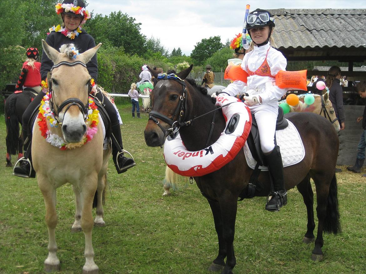 Anden særlig race Haugaards Frederik billede 7
