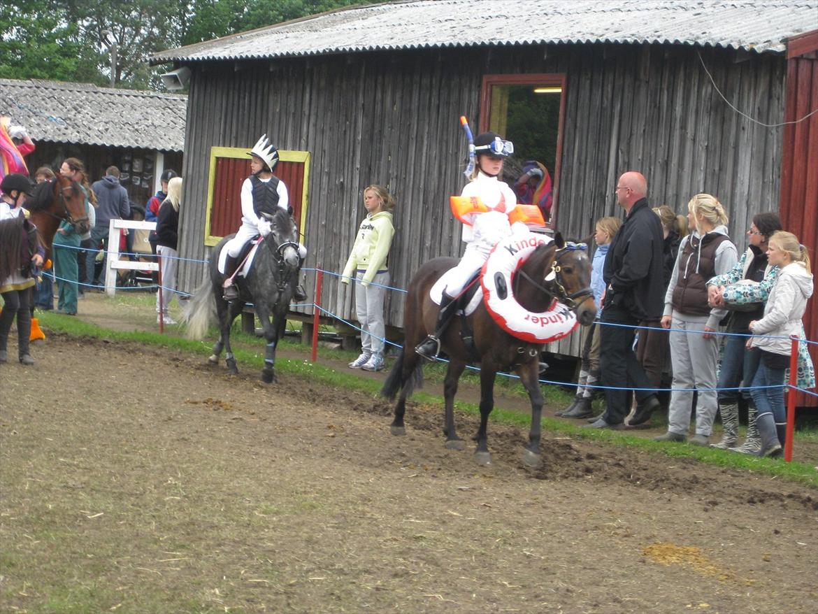 Anden særlig race Haugaards Frederik billede 8
