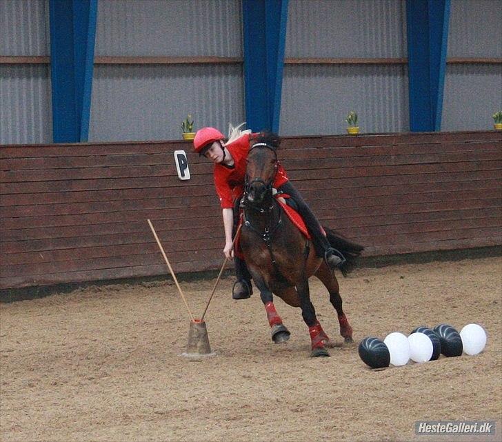 DSP Kvazandra Lapaz<3  billede 7