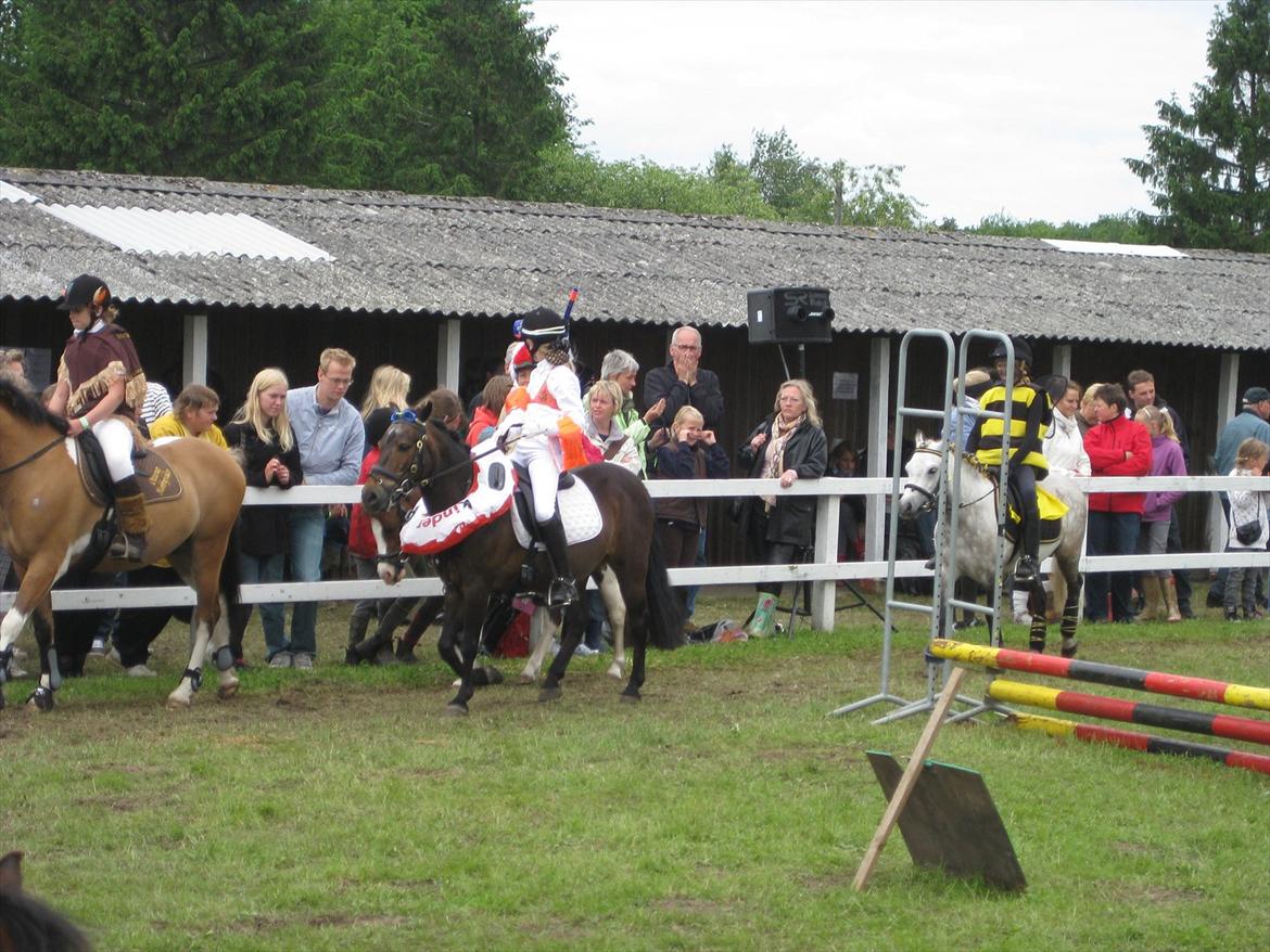 Anden særlig race Haugaards Frederik billede 9