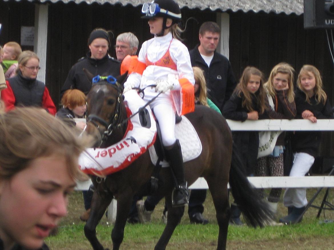 Anden særlig race Haugaards Frederik billede 10