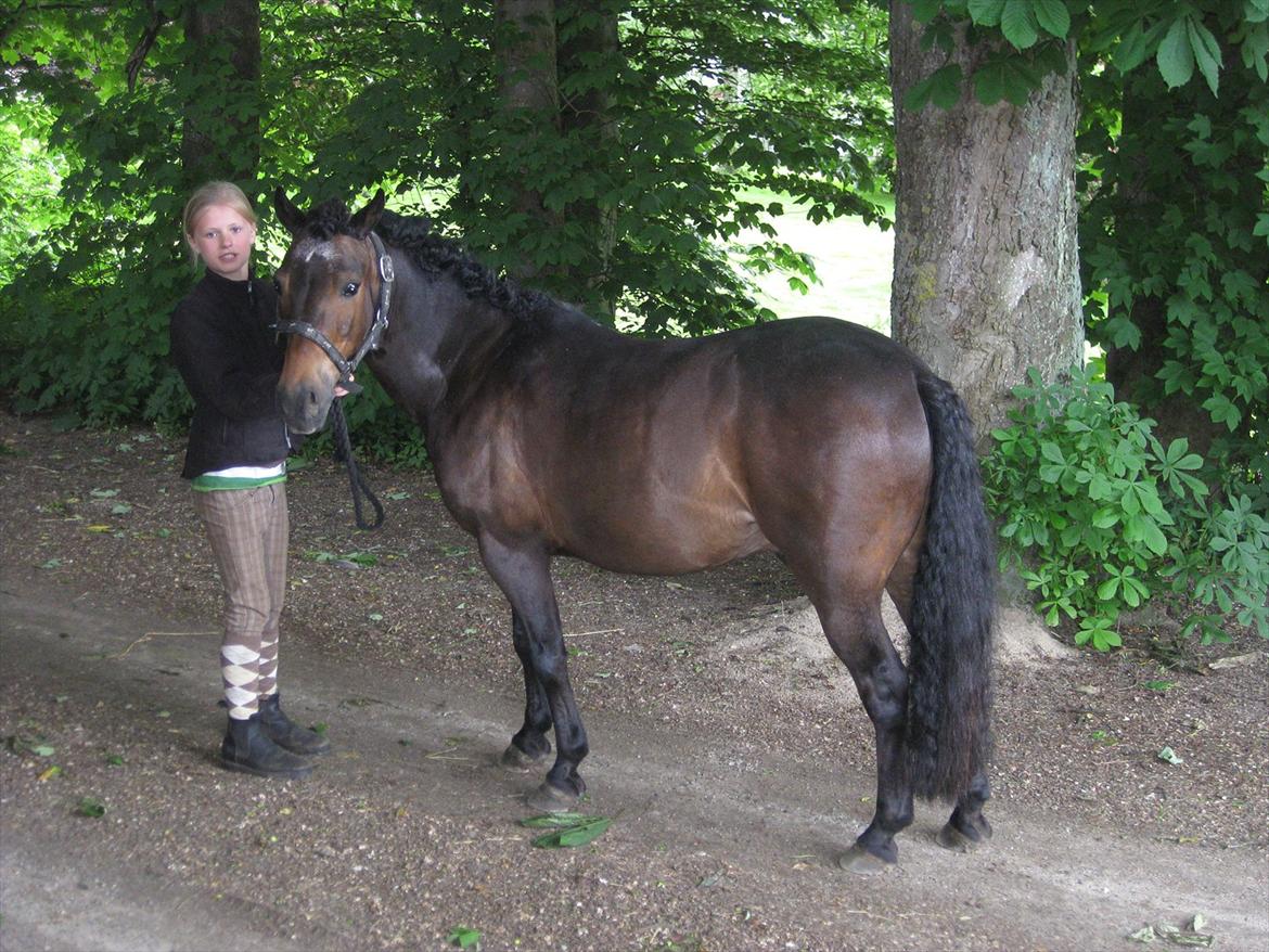 Anden særlig race Haugaards Frederik billede 11