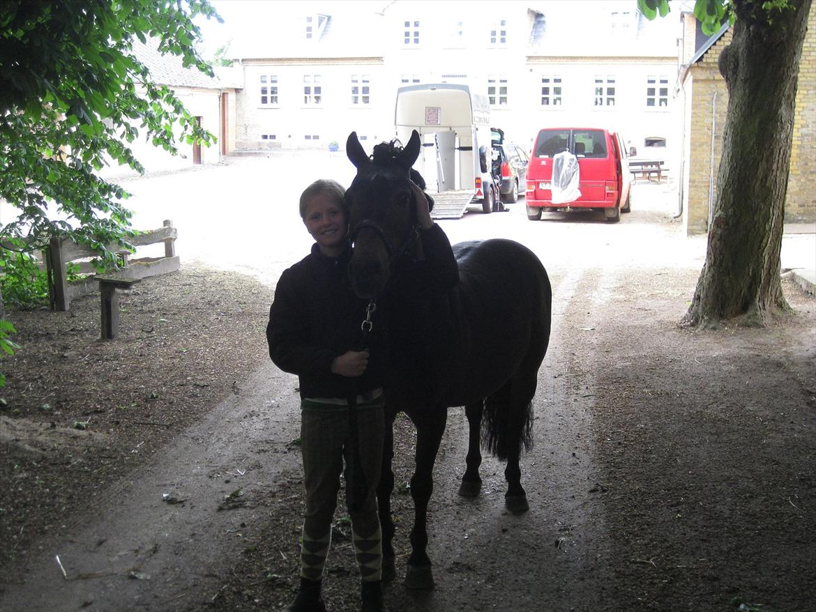 Anden særlig race Haugaards Frederik billede 12