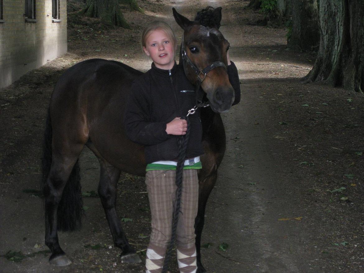 Anden særlig race Haugaards Frederik billede 13