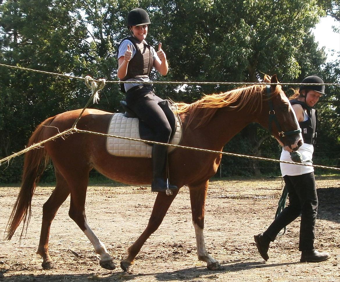 Frederiksborg Pricella - Så kom vi på ryggen af hende! billede 8