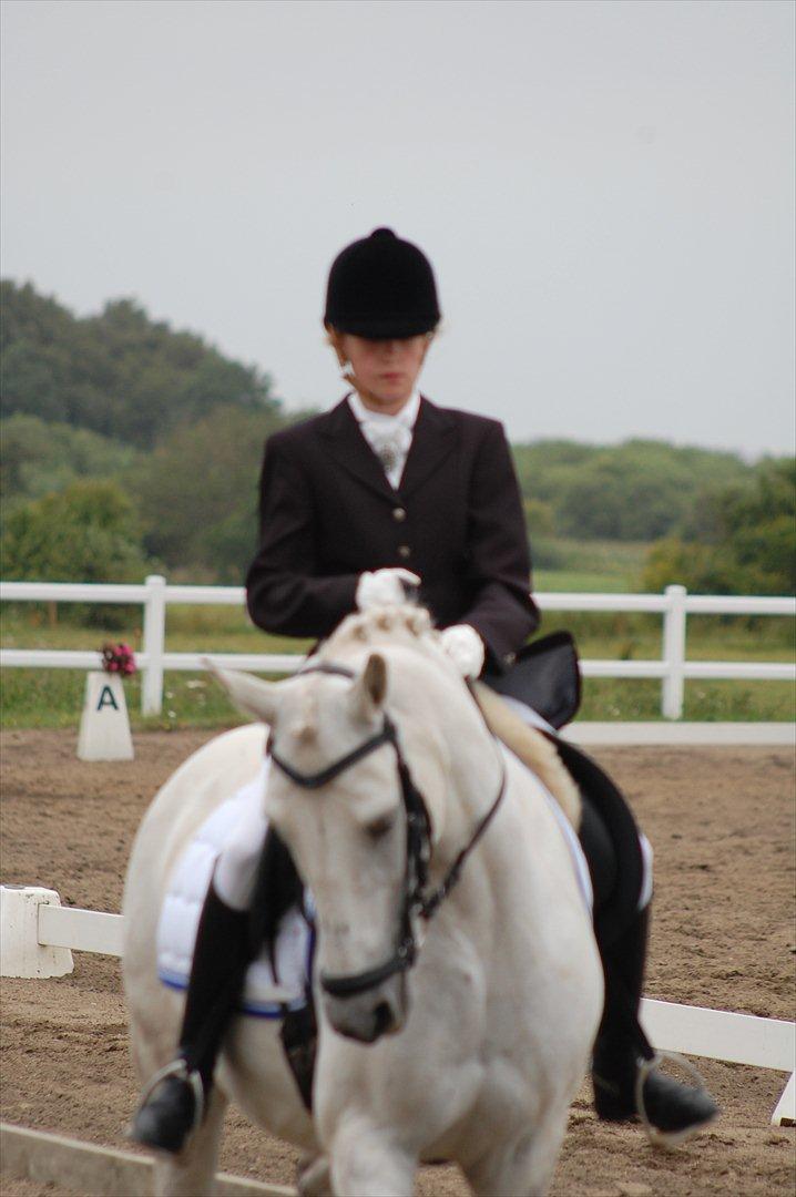 New Forest Charfeli (B-pony) - 17: Kærgården ved at trave af! Når enden er god, er alting god t:D billede 17