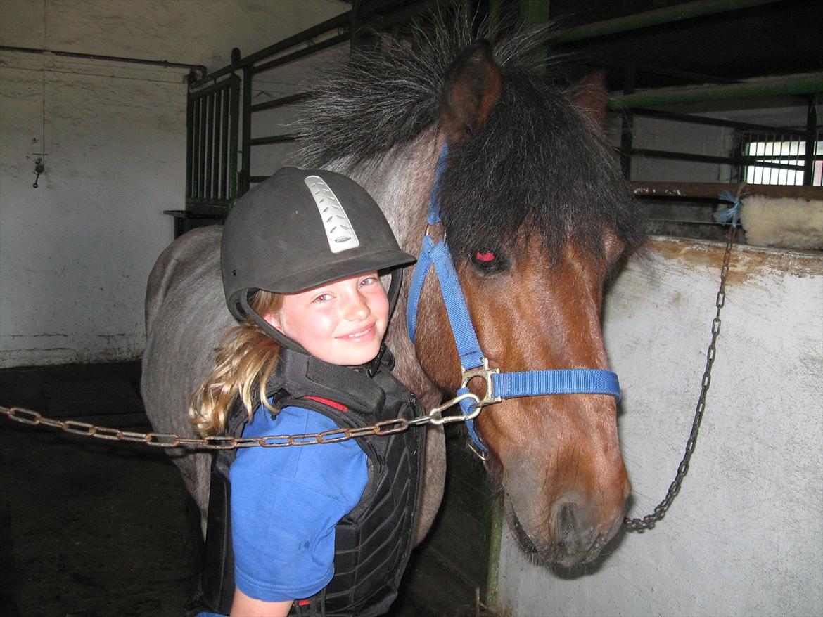 Anden særlig race amigo - er meget glad for amigo, rider på hold 2 gange om ugen hvor vi tit rider ture. billede 6