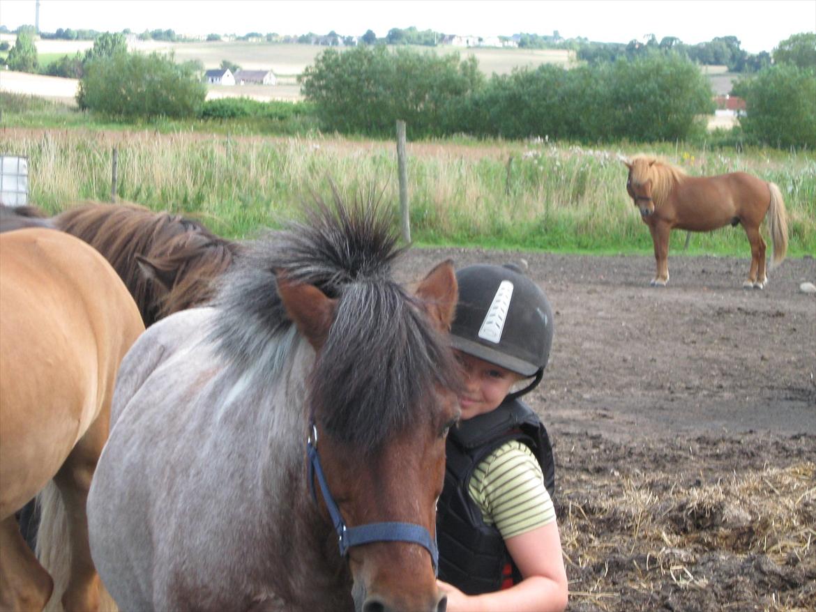 Anden særlig race amigo billede 10