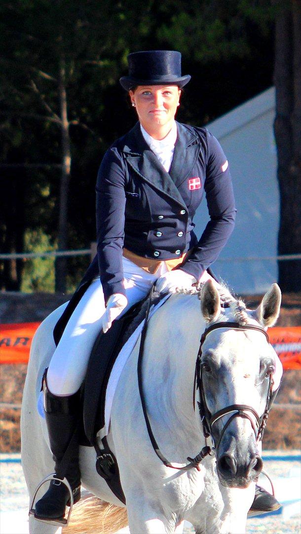 Lusitano Quarteio - AVLSHINGST - European Junior Championships 2011 billede 1