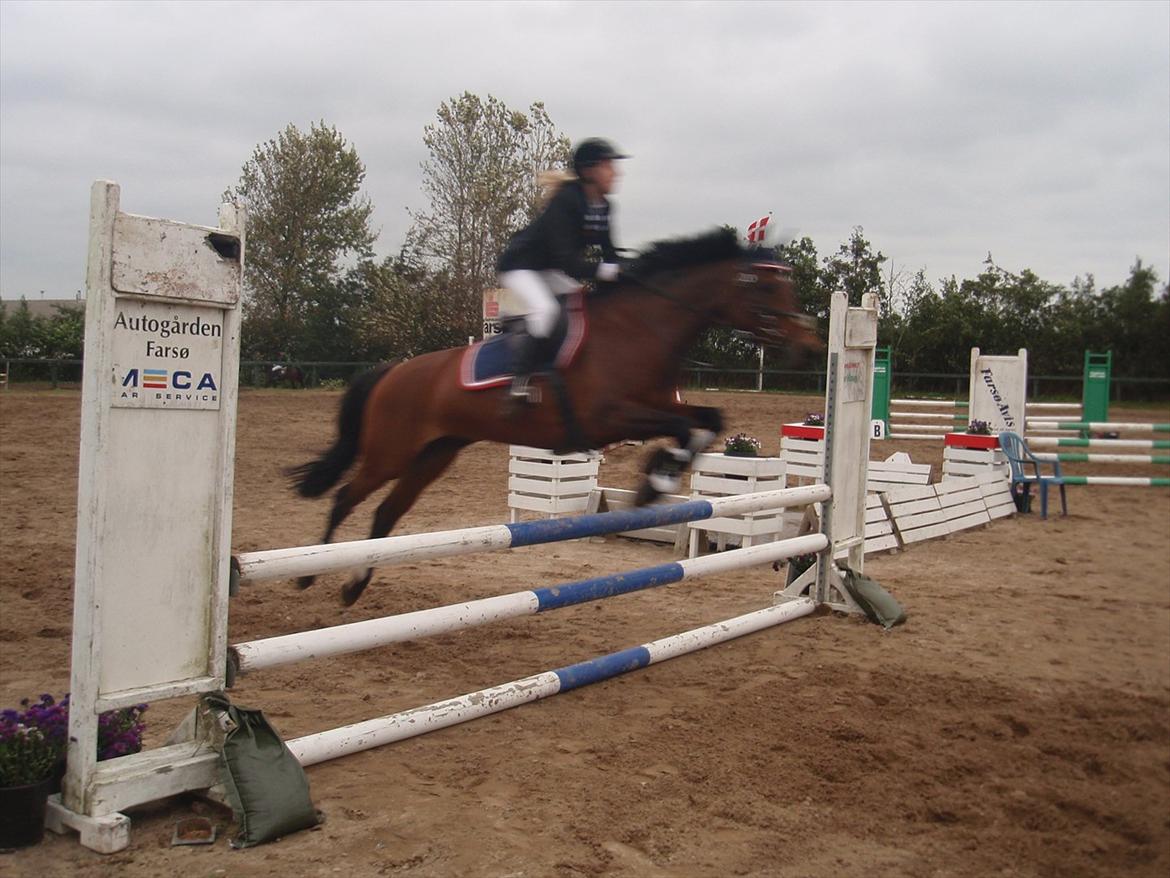 DSP Cassidy - Cassidy Lb* Farsø   billede 2