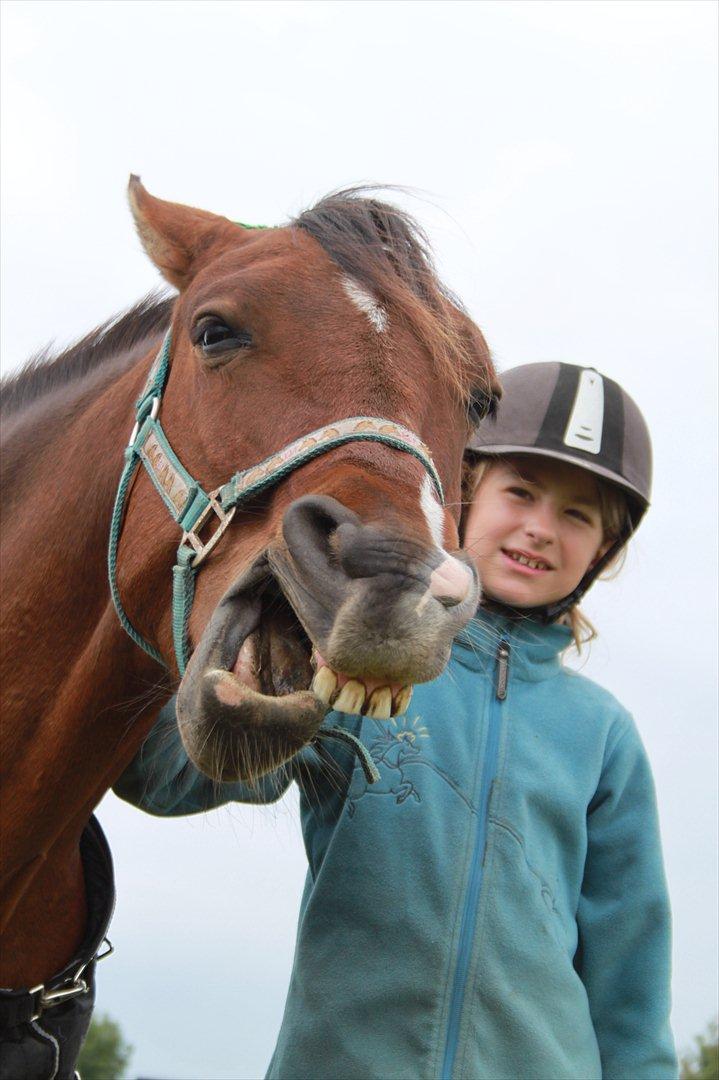 Anden særlig race Calvados  - 'Gaaabbb' er man lidt træt ? :) billede 3