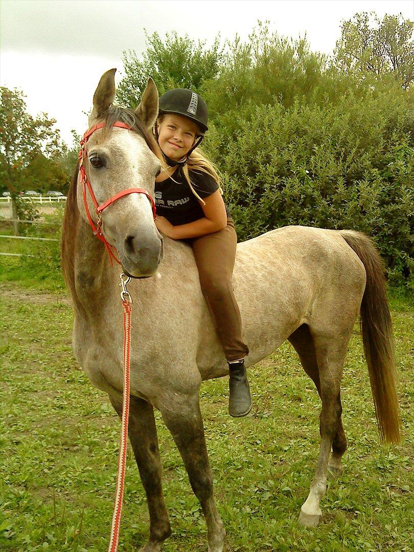 Arabisk fuldblod (OX) Fantasy biint el mokari ox //MY SOULMATE!<3// [tid - Velkommen til min profil
en ven for livet<333 billede 1