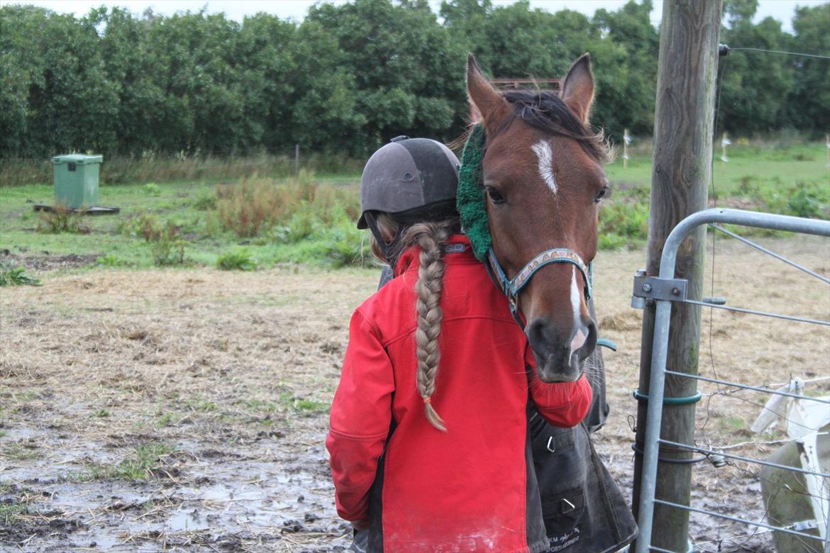 Anden særlig race Calvados  - at have dig ved min side, betyder at jeg ikke mangler noget :) <3 billede 12