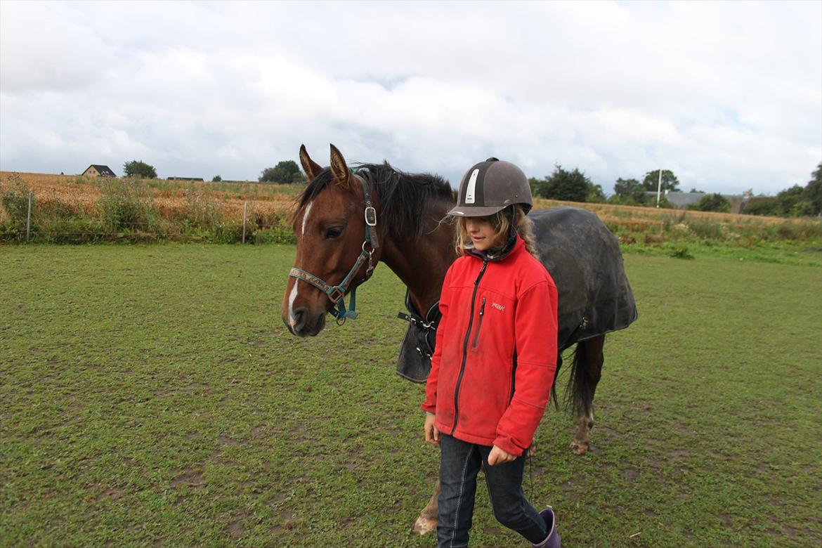 Anden særlig race Calvados  - Du stoler så meget på mig at du følger mig rundt på folden. Har ikke fat i dig eller noget :') <3 billede 13